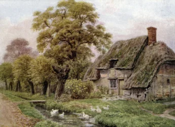 Der Bach, Steventon, Berks